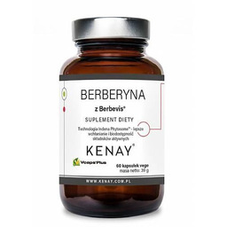Kenay Berberyna z Berbevis, 60 kaps.