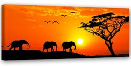 Obraz, Panorama sawanny w Afryce 150x50