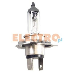Intertec Żarówka halogenowa UNITEC H4 91223