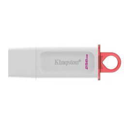 KINGSTON Pendrive DataTraveler Exodia 256GB, USB 3.2 Gen.