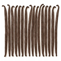 Wanilia laska 12-14 cm 16 sztuk laski wanilia