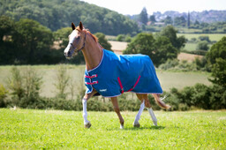 Shires Equestrian Derka padokowa Tempest Original LITE Combo