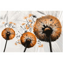 100 70cm Obraz płótno Dmuchawce pomarańczach płótno rama