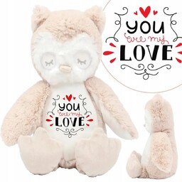 Miś Maskotka SOWA Na Walentynki YOU MY LOVE