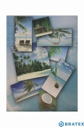 Album cc 10x15/100 assort PALMY