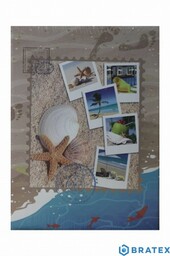 Album cc 10x15/100 assort PLAZING