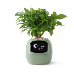 Doniczka inteligentna Plantsio Ivy Wi-fi Zielony