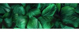 Płytka ścienna inserto Alfa-Cer szklana NEXT FICUS B