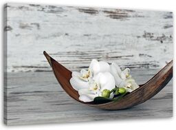 Obraz na płótnie, Białe kwiaty storczyka vintage 60x40