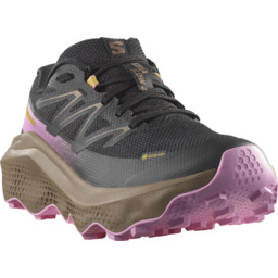 BUTY DAMSKIE SALOMON ULTRA FLOW 2 GTX