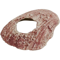 Nobby Aqua Ornaments muszla 10,8 x 12,5 x