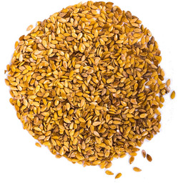 Siemię lniane złote ziarno 1kg