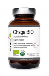 Kenay Chaga Bio Inonotus Obliquus Suplement diety 60