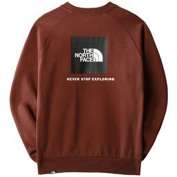 bluza męska THE NORTH FACE RAGLAN RED BOX