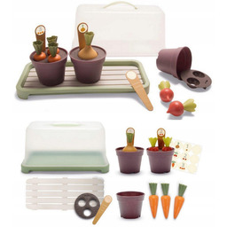 Green Garden Mini szklarnia z roślinami