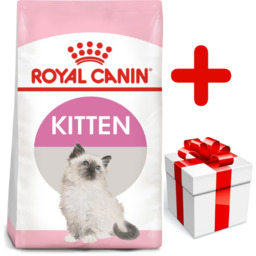 ROYAL CANIN Kitten 10kg