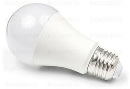 Żarówka LED E27 14W - Biały zimny (6000K)