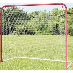 Bramka Do Gry W Hockeya Abs Hockey Goal
