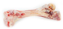 Prosciutto Bone kość z szynki Parmeńskiej cała