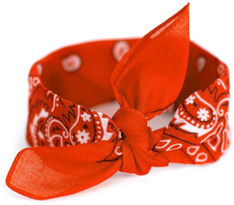 Bandana Classic rebel