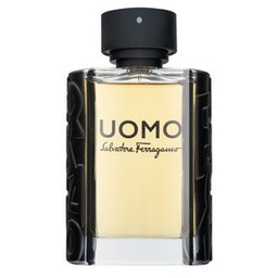 Salvatore Ferragamo Uomo woda toaletowa dla mężczyzn 100