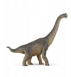 Brachiozaur, Papo