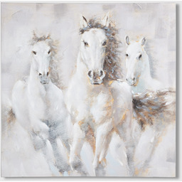 Obraz Galopos