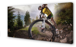 Obraz na płótnie Rower góry chmury