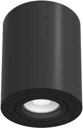 Lampa sufitowa TUBA ALFA C016CL-01B - Maytoni