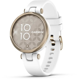 Zegarek Garmin Venu 2 (45 mm) Slate Stainless