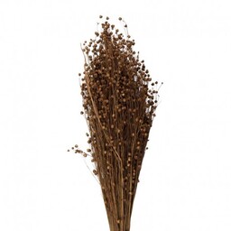 Suszone Gałązki Bukiet Clayre & Eef