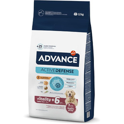 Advance Vitality Senior Maxi - Big Race karma