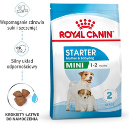 ROYAL CANIN Mini Starter Mother & Babydog 8kg
