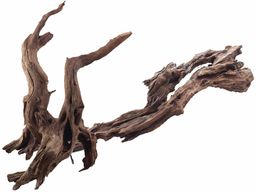 amtra Ikebana drewno, 30-50 cm