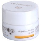 Dr Hauschka Lip Balm Balsam do ust 4,5