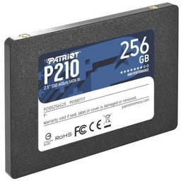 Patriot P210 256GB