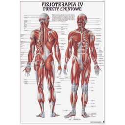 Tablica anatomiczna - Punkty Spustowe - nielaminowana