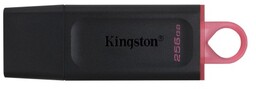 Kingston FLASH 256GB USB3.2 Gen1 DataTraveler Exodia (B+P)