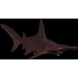 Schleich, figurka, Rekin Młotowaty 20'', 14835