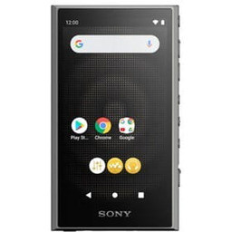 SONY Przenośny odtwarzacz Walkman NW-A306B Czarny