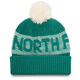 Czapka The North Face Retro Cabin NF0A88QW Zielony