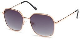 Polar Vision PV 10054 A