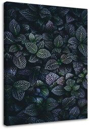 Obraz na płótnie, Liście rośliny natura 40x60
