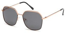 Polar Vision PV 10054 D