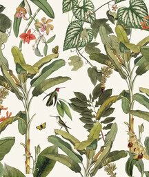 Tapeta Tropicana Wallcolors