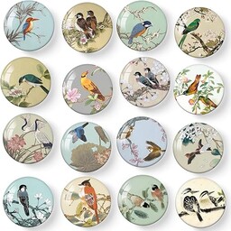 MORCART 16 szt. magnesów na lodówkę dla ptaków,