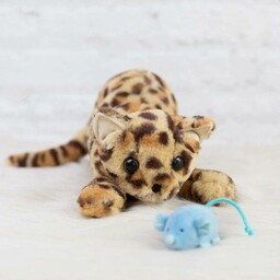 Maskotka pluszowy kotek Leopard Loki z myszką 160140-Manhattan