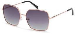 Polar Vision PV 10066 A