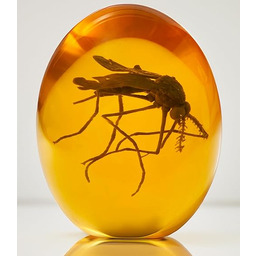 VEOJEIN Komar jurajski 3D - komar w bursztynie