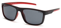 Polar Vision PV 20221 C